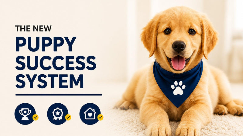 30-Day Puppy Success System