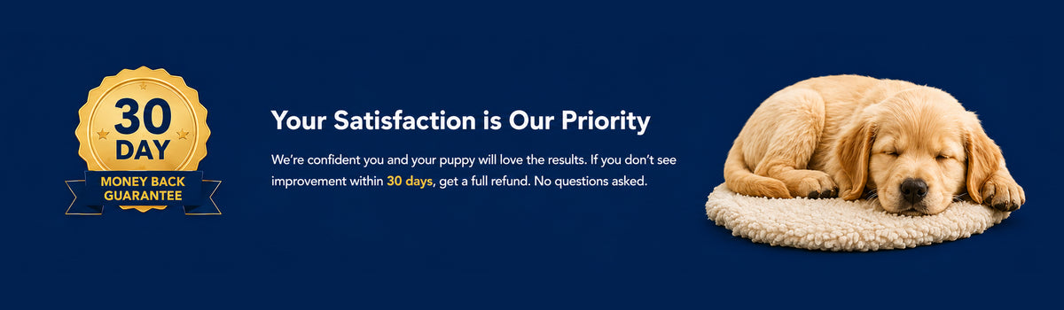 New puppy owner building confidence and routine through structured daily training — PupTeachings
