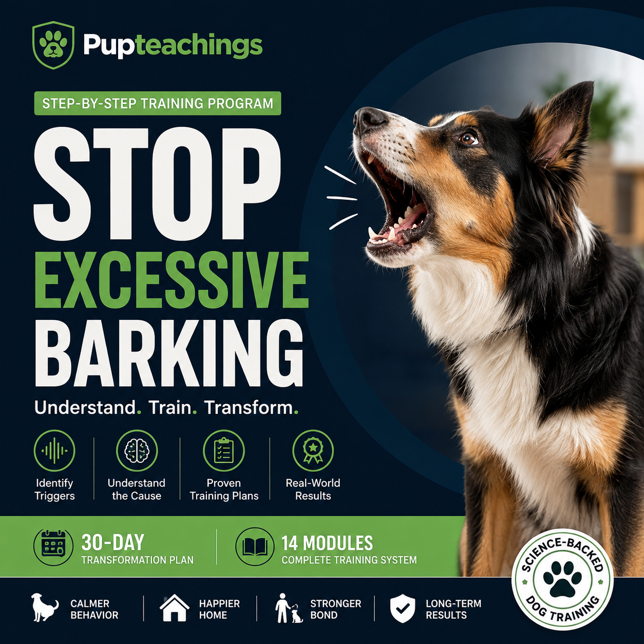 Stop Excessive Barking