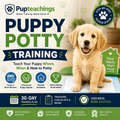 Step-by-step puppy potty training course with 30-day plan and daily schedule — PupTeachings