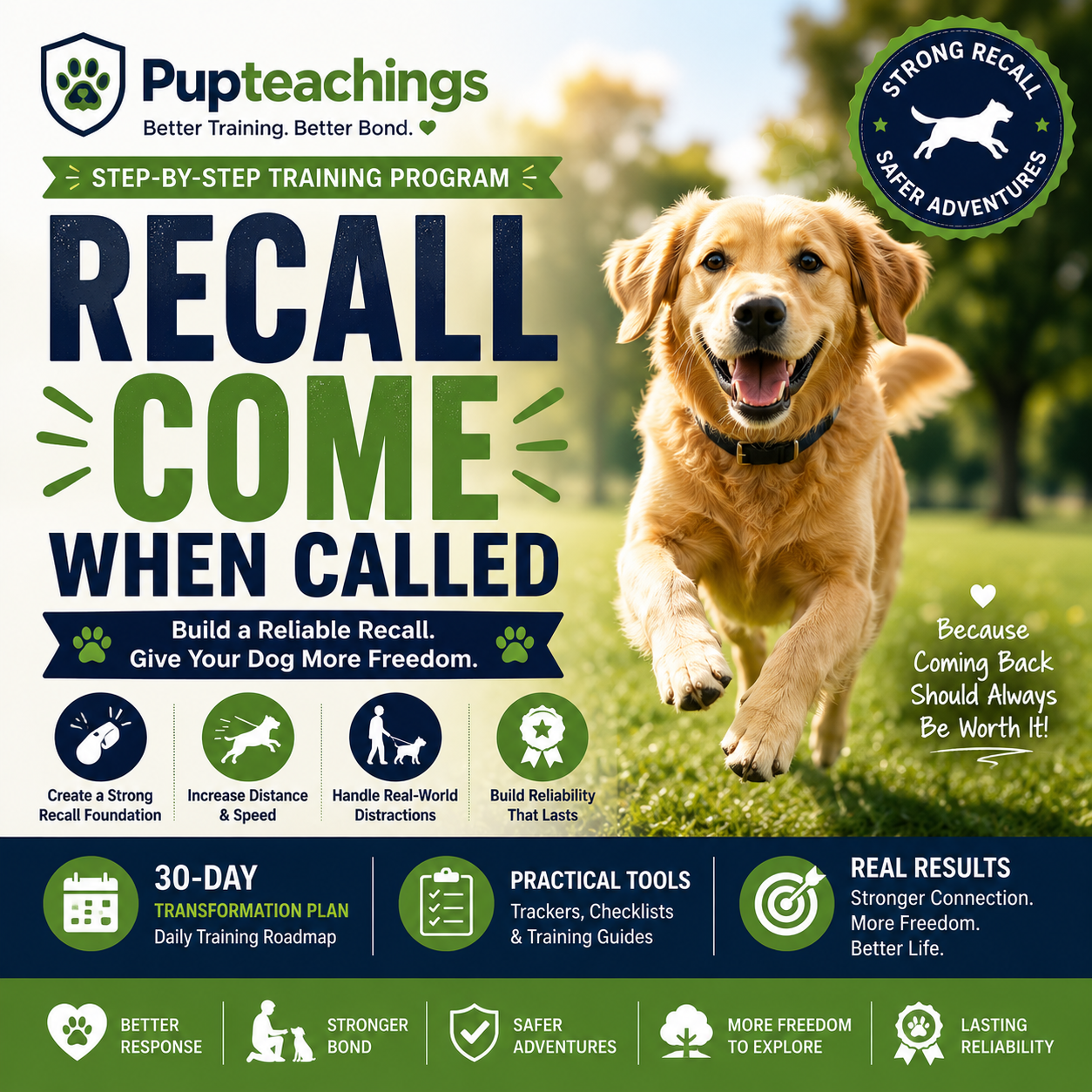 Recall / Come When Called