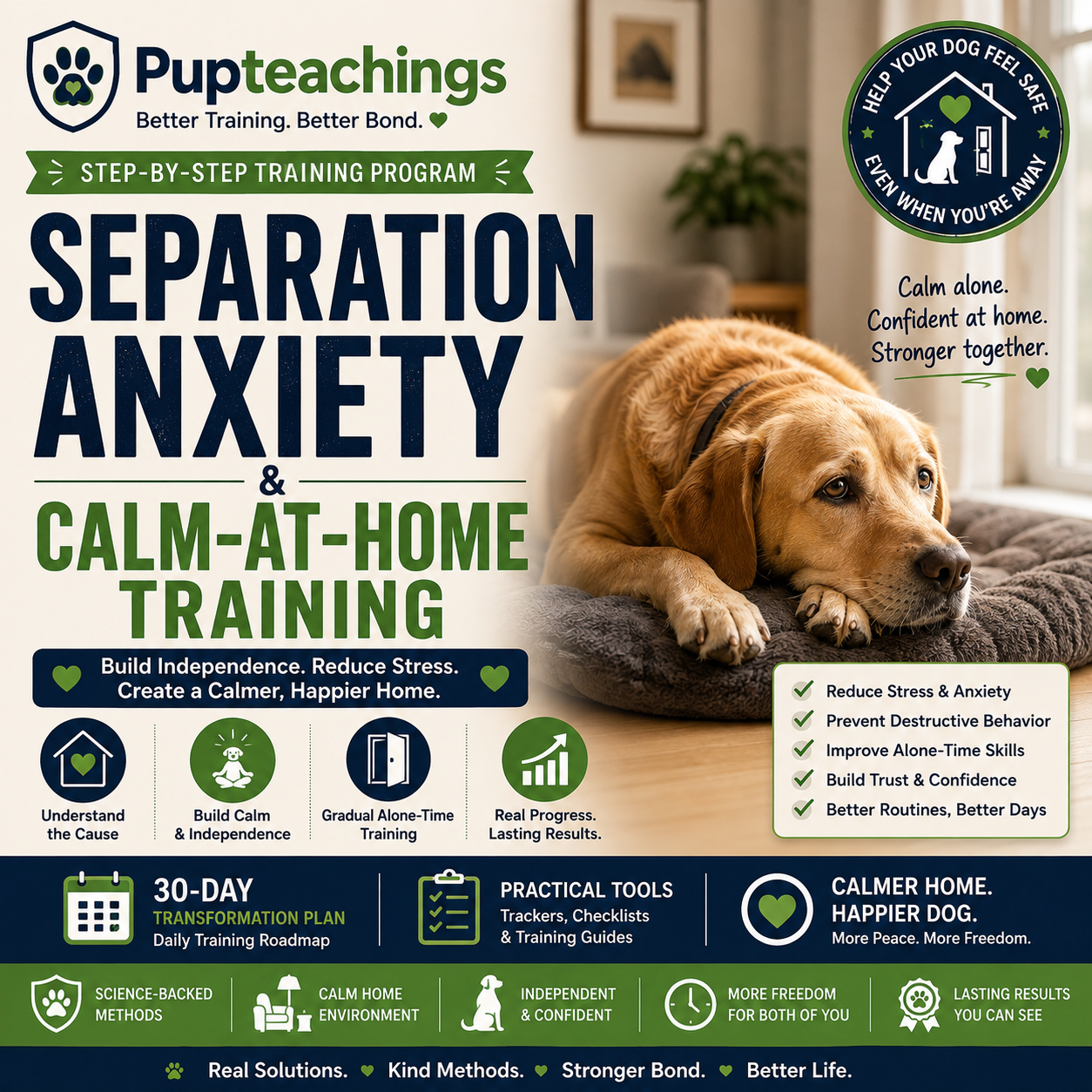 Separation Anxiety &amp; Calm-At-Home Training